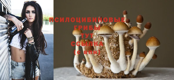 apvp Белокуриха