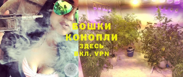apvp Белокуриха