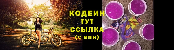 apvp Белокуриха